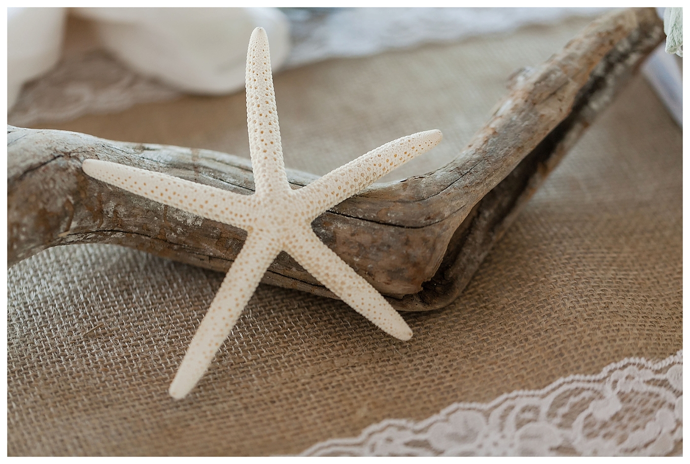 krystin-vince-king-s-creek-marina-wedding-brooke-tucker