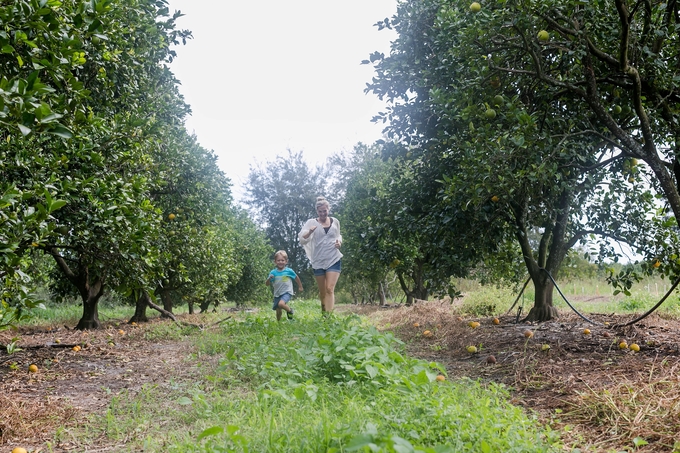 Family day in the orange grove