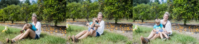 Family day in the orange grove