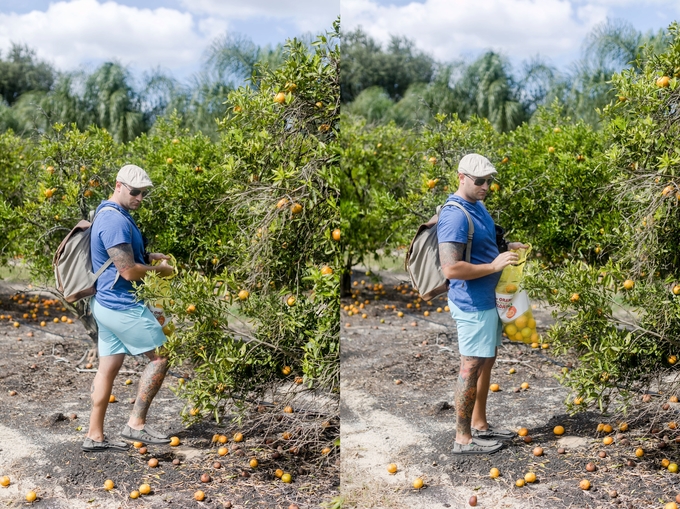 Family day in the orange grove