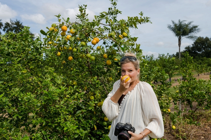 Family day in the orange grove