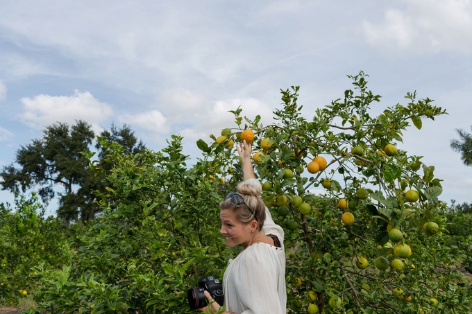 Family day in the orange grove