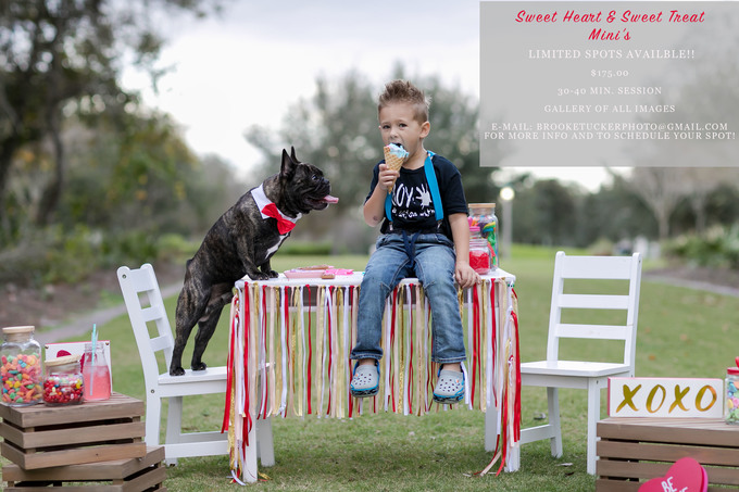 little boy and french bulldog sharing cotton candy for valentines day