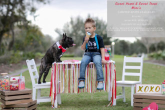 little boy and french bulldog sharing cotton candy for valentines day