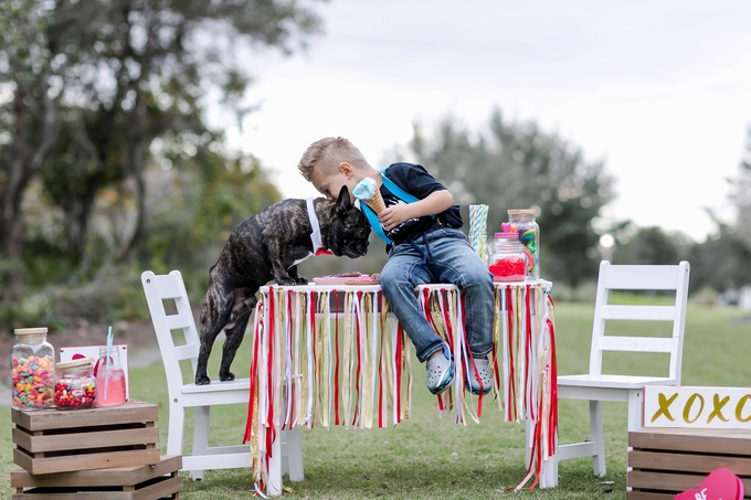 Valentines day candy crush with best buds french bulldog and little boy