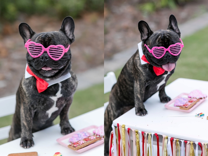 Valentines day candy crush with best buds french bulldog and little boy