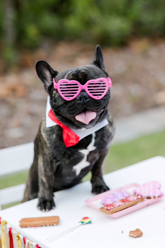 Valentines day candy crush with best buds french bulldog and little boy