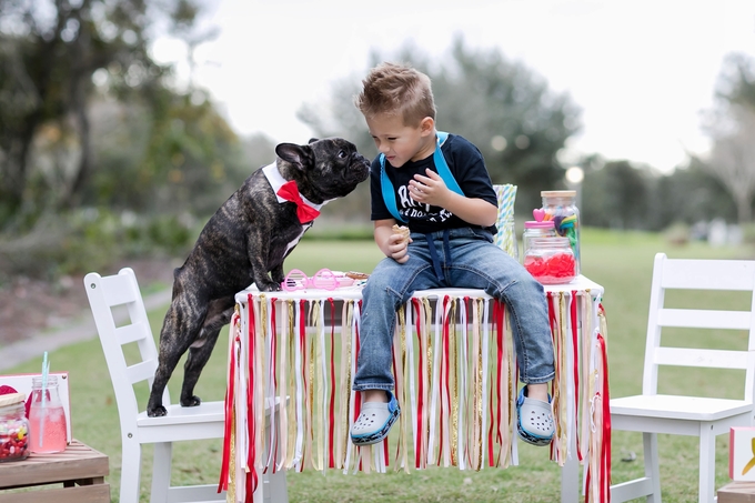 Valentines day candy crush with best buds french bulldog and little boy