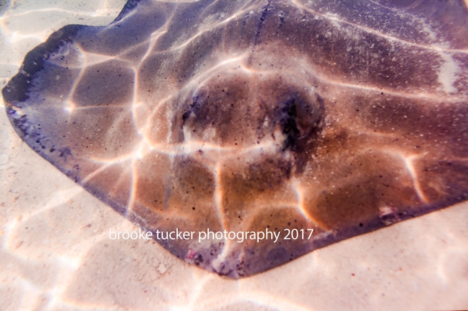 Disney Bahamian Cruise, Disney Dream, Brooke Tucker Photography