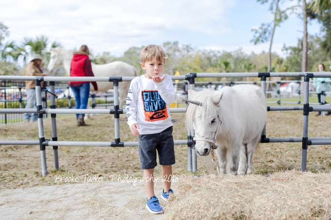 Family bucket list, Florida scottish highland games