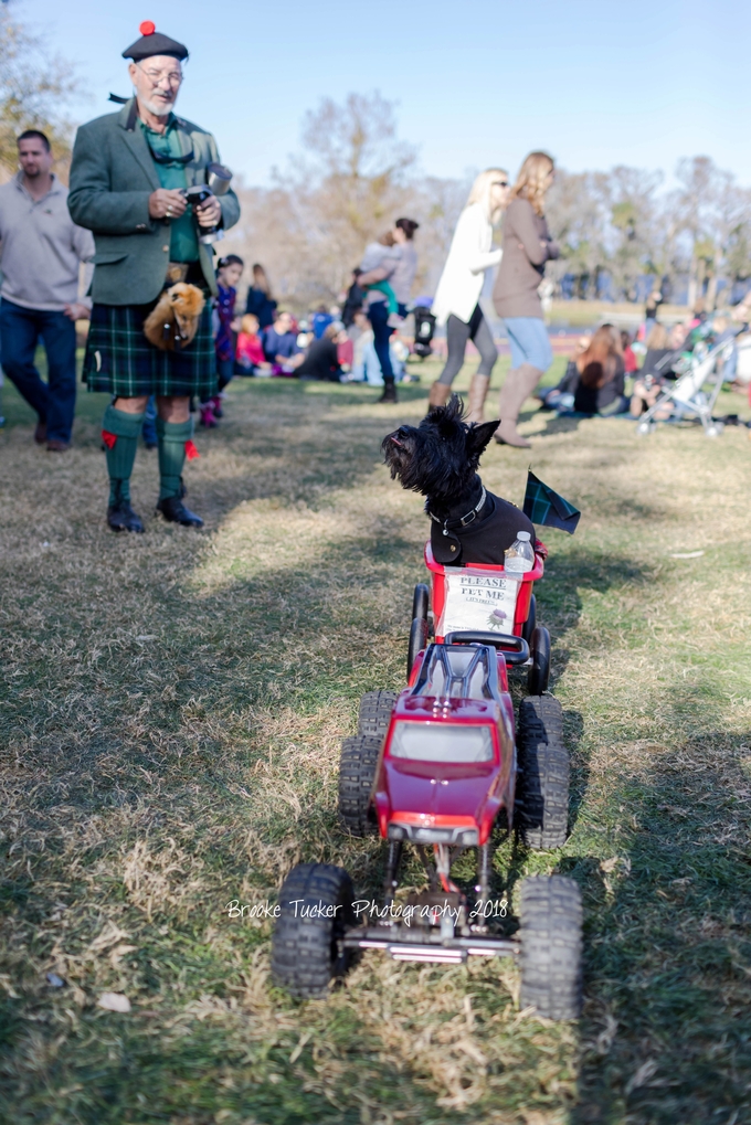 Family bucket list, Florida scottish highland games