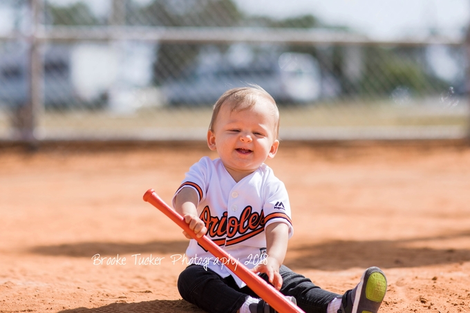 Orioles themed cake smash, brooke tucker photography, orlando florida child and family photographer