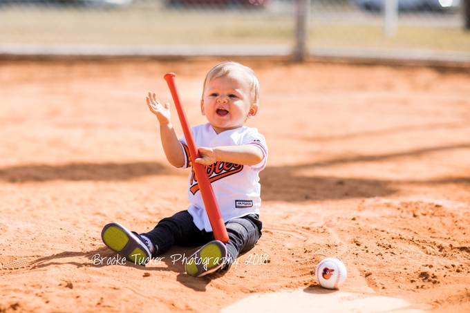 Orioles themed cake smash, brooke tucker photography, orlando florida child and family photographer