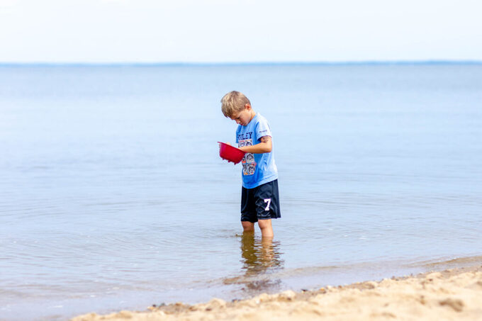 fossil beach adventures in homeschooling by brooketucker photography